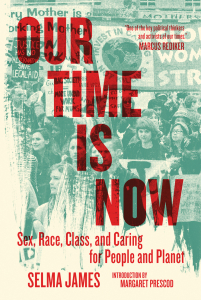 Our Time Is Now: Sex, Race, Class, and Caring for People and Planet (e-book)