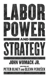 Labor Power and Strategy (e-Book)