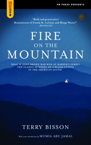 Fire on the Mountain (e-Book)