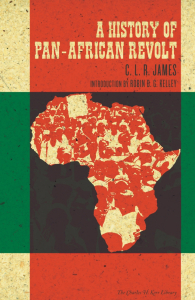 A History of Pan-African Revolt