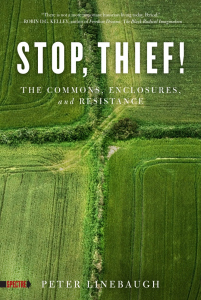 Stop, Thief!: The Commons, Enclosures, and Resistance (e-Book)